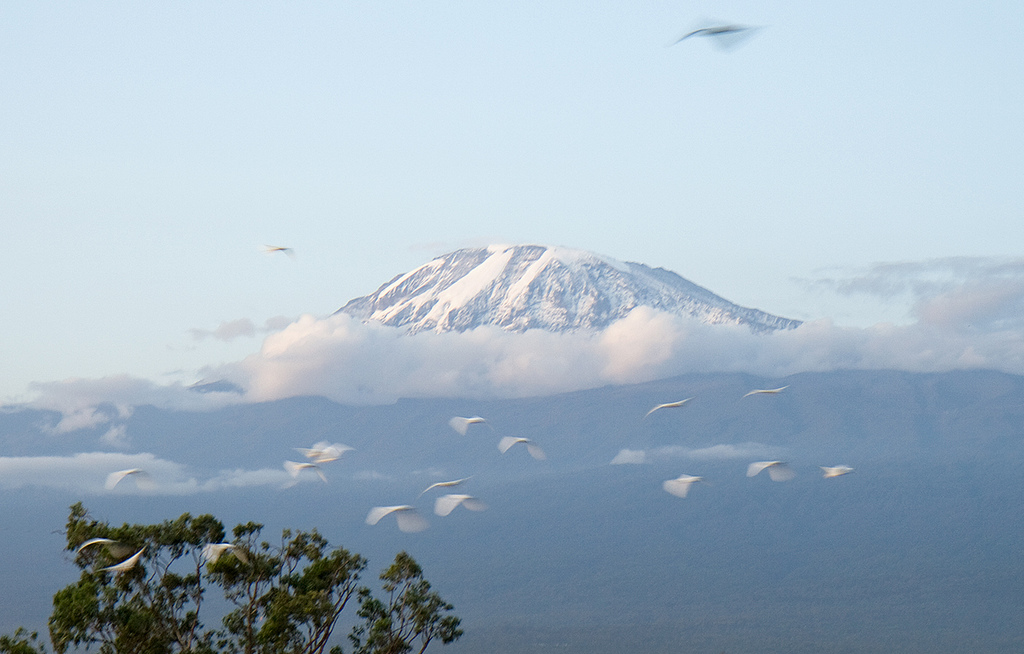 Mount Kilimanjaro VIP Climb
