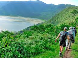 Ngorongoro Highlands Trekking VIP
