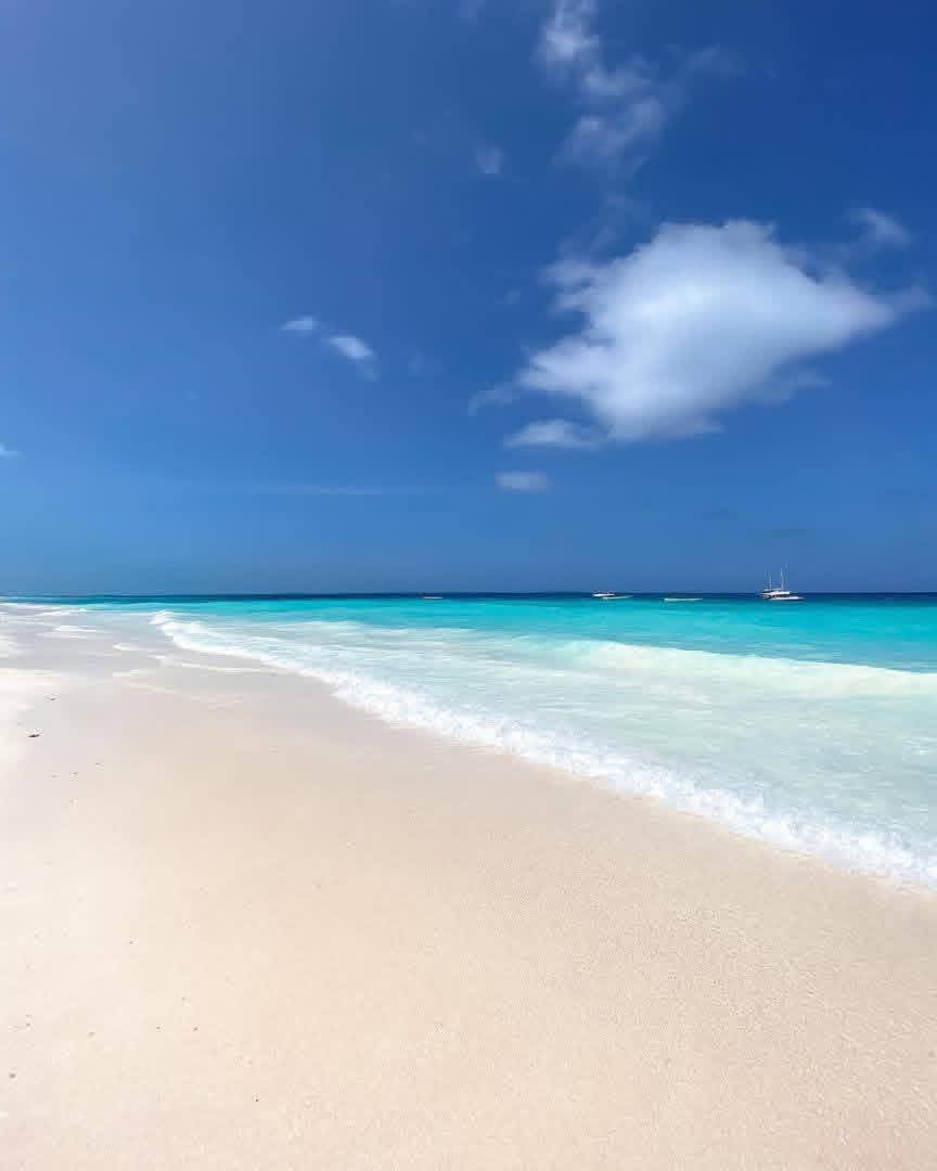 Mnemba Atoll Snorkeling
